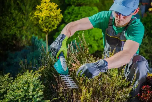 landscaping services Ypsilanti